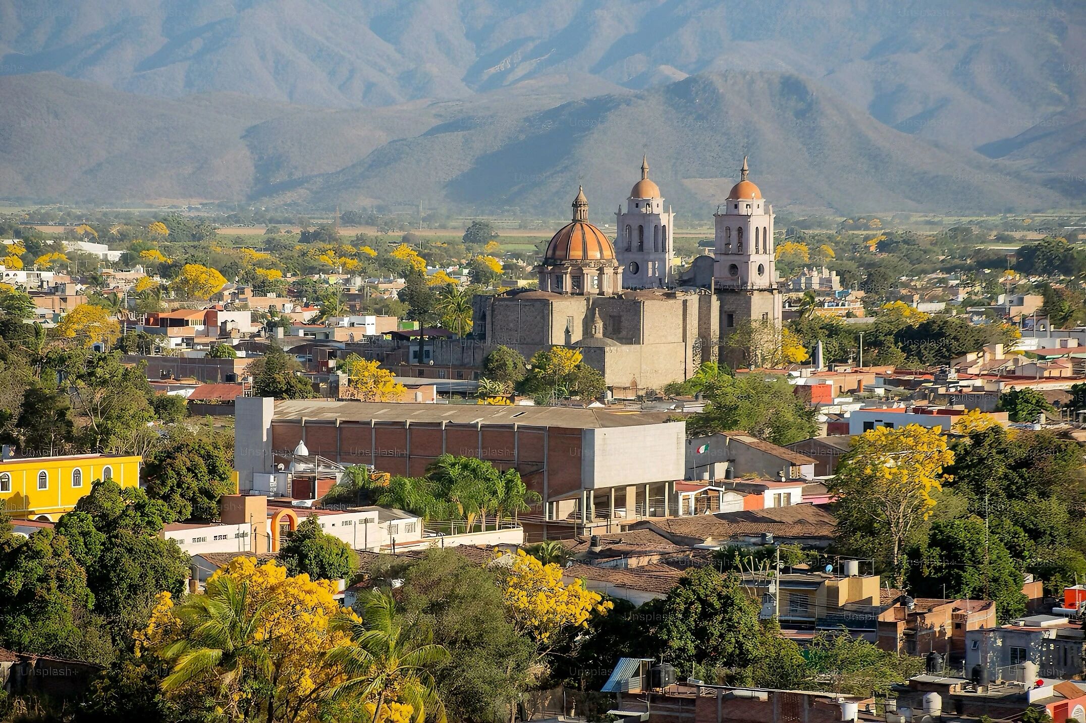 趣税 - 全球VAT税务、EPR认证、知识产权、海外工商