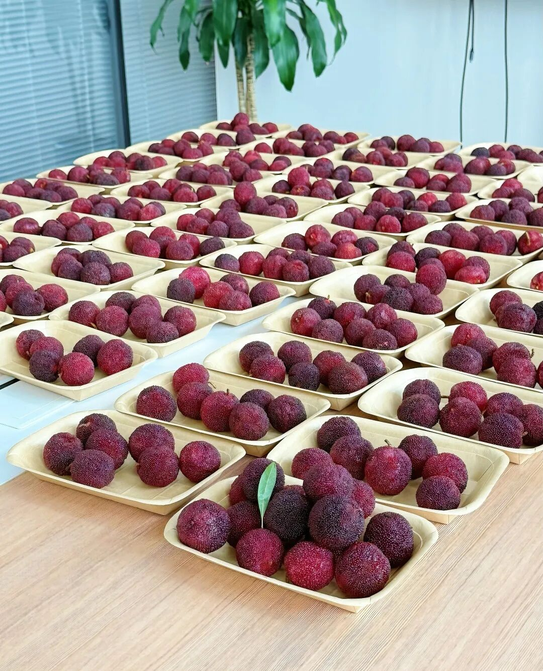 SHEIN欧洲站最新政策找趣税